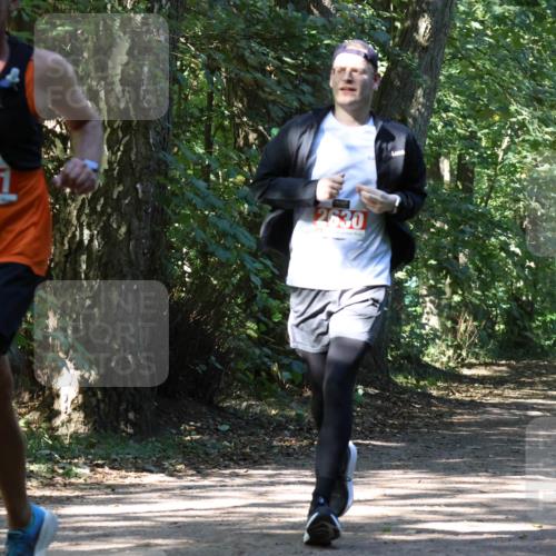 28.09.2025 - 33. Volkslauf durch das schöne Alstertal Strokosch-Dieckow http://msf.ph/oto/8971891 28.09.2025 12:23:59 Laufen  meine-sportfotos.de