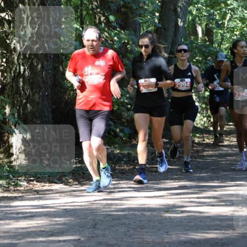 28.09.2025 - 33. Volkslauf durch das schöne Alstertal Strokosch-Dieckow http://msf.ph/oto/8971892 28.09.2025 12:24:08 Laufen 2994, 2392 meine-sportfotos.de