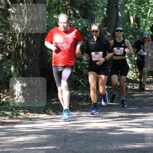 28.09.2025 - 33. Volkslauf durch das schöne Alstertal Strokosch-Dieckow http://msf.ph/oto/8971893 28.09.2025 12:24:08 Laufen 139, 2997, 2994, 200, 2392 meine-sportfotos.de