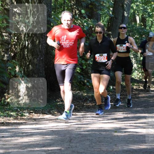 28.09.2025 - 33. Volkslauf durch das schöne Alstertal Strokosch-Dieckow http://msf.ph/oto/8971894 28.09.2025 12:24:08 Laufen 139, 2997, 2994, 200, 2392, 1 meine-sportfotos.de