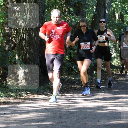 28.09.2025 - 33. Volkslauf durch das schöne Alstertal Strokosch-Dieckow http://msf.ph/oto/8971895 28.09.2025 12:24:08 Laufen 139, 2997, 2994, 392 meine-sportfotos.de