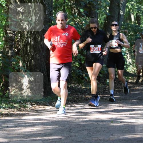 28.09.2025 - 33. Volkslauf durch das schöne Alstertal Strokosch-Dieckow http://msf.ph/oto/8971896 28.09.2025 12:24:08 Laufen 139, 2997, 29, 2392 meine-sportfotos.de