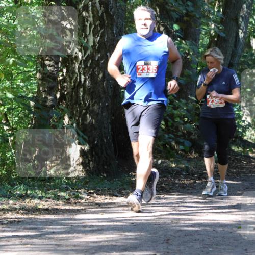 28.09.2025 - 33. Volkslauf durch das schöne Alstertal Strokosch-Dieckow http://msf.ph/oto/8971897 28.09.2025 12:24:21 Laufen 2335, 2364 meine-sportfotos.de