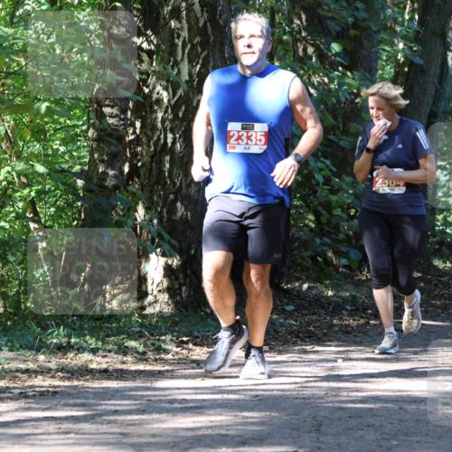 28.09.2025 - 33. Volkslauf durch das schöne Alstertal Strokosch-Dieckow http://msf.ph/oto/8971900 28.09.2025 12:24:21 Laufen 2335, 2304 meine-sportfotos.de
