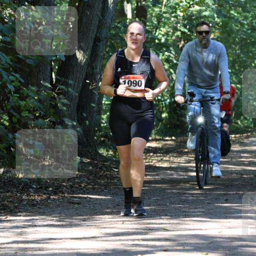 28.09.2025 - 33. Volkslauf durch das schöne Alstertal Strokosch-Dieckow http://msf.ph/oto/8971906 28.09.2025 12:24:30 Laufen 1090 meine-sportfotos.de