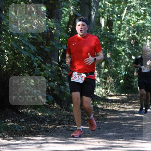 28.09.2025 - 33. Volkslauf durch das schöne Alstertal Strokosch-Dieckow http://msf.ph/oto/8971909 28.09.2025 12:24:40 Laufen 2584, 2384 meine-sportfotos.de