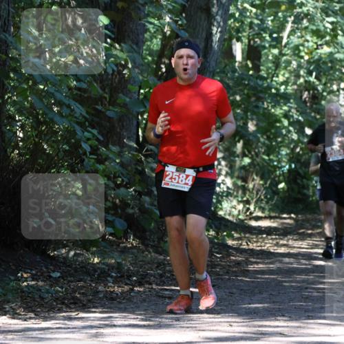 28.09.2025 - 33. Volkslauf durch das schöne Alstertal Strokosch-Dieckow http://msf.ph/oto/8971910 28.09.2025 12:24:40 Laufen 2584 meine-sportfotos.de