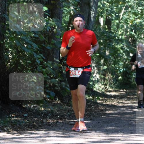 28.09.2025 - 33. Volkslauf durch das schöne Alstertal Strokosch-Dieckow http://msf.ph/oto/8971912 28.09.2025 12:24:40 Laufen 2584 meine-sportfotos.de
