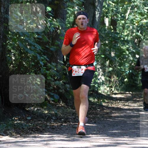 28.09.2025 - 33. Volkslauf durch das schöne Alstertal Strokosch-Dieckow http://msf.ph/oto/8971913 28.09.2025 12:24:40 Laufen 2584 meine-sportfotos.de