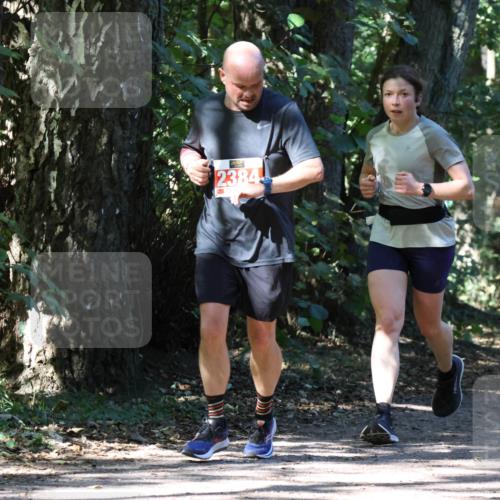 28.09.2025 - 33. Volkslauf durch das schöne Alstertal Strokosch-Dieckow http://msf.ph/oto/8971916 28.09.2025 12:24:45 Laufen 2384, 1751 meine-sportfotos.de
