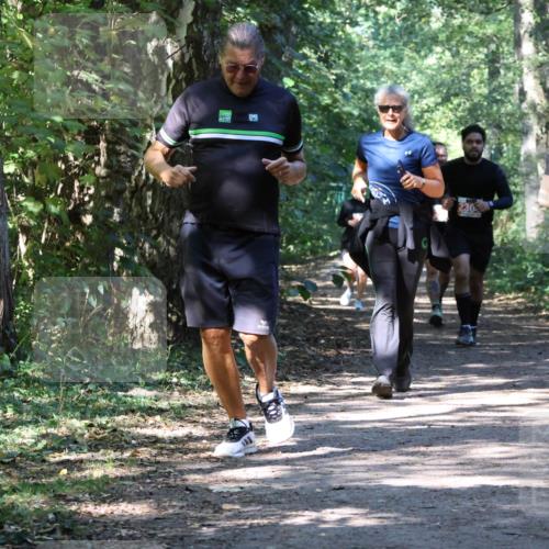 28.09.2025 - 33. Volkslauf durch das schöne Alstertal Strokosch-Dieckow http://msf.ph/oto/8971925 28.09.2025 12:25:32 Laufen 1095 meine-sportfotos.de