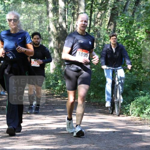 28.09.2025 - 33. Volkslauf durch das schöne Alstertal Strokosch-Dieckow http://msf.ph/oto/8971928 28.09.2025 12:25:34 Laufen 230, 1095 meine-sportfotos.de