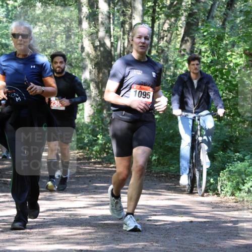 28.09.2025 - 33. Volkslauf durch das schöne Alstertal Strokosch-Dieckow http://msf.ph/oto/8971929 28.09.2025 12:25:34 Laufen 1095 meine-sportfotos.de