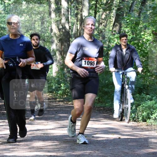 28.09.2025 - 33. Volkslauf durch das schöne Alstertal Strokosch-Dieckow http://msf.ph/oto/8971930 28.09.2025 12:25:34 Laufen 230, 1095 meine-sportfotos.de