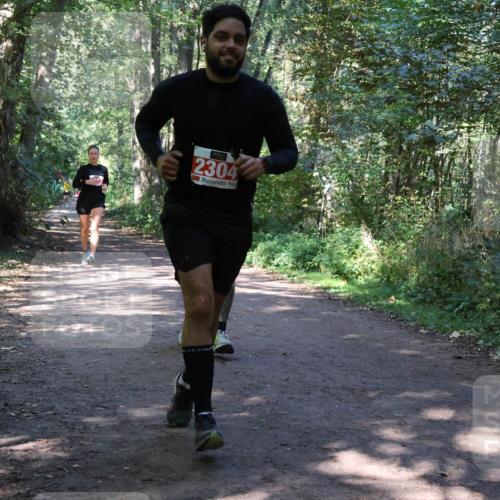 28.09.2025 - 33. Volkslauf durch das schöne Alstertal Strokosch-Dieckow http://msf.ph/oto/8971931 28.09.2025 12:25:39 Laufen 2304 meine-sportfotos.de
