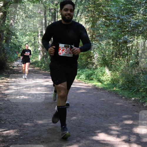 28.09.2025 - 33. Volkslauf durch das schöne Alstertal Strokosch-Dieckow http://msf.ph/oto/8971932 28.09.2025 12:25:39 Laufen 2304 meine-sportfotos.de