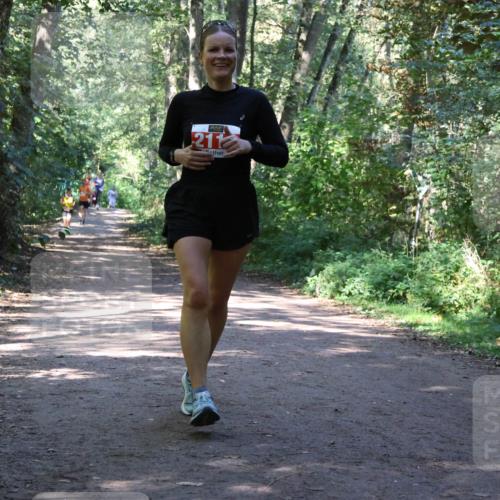 28.09.2025 - 33. Volkslauf durch das schöne Alstertal Strokosch-Dieckow http://msf.ph/oto/8971934 28.09.2025 12:25:43 Laufen 211 meine-sportfotos.de