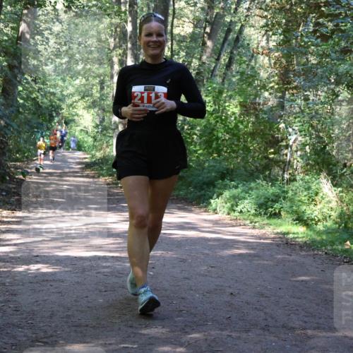 28.09.2025 - 33. Volkslauf durch das schöne Alstertal Strokosch-Dieckow http://msf.ph/oto/8971935 28.09.2025 12:25:43 Laufen 2113 meine-sportfotos.de