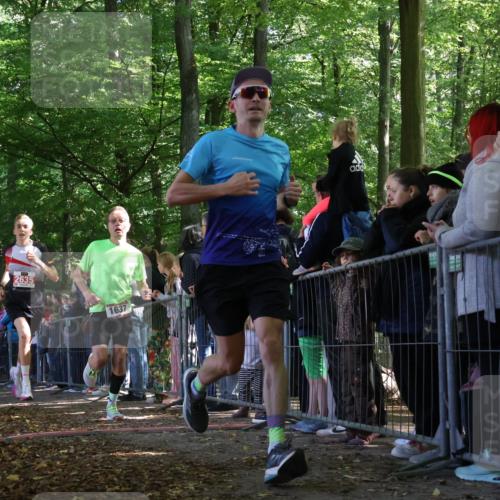 28.09.2025 - 33. Volkslauf durch das schöne Alstertal Strokosch-Dieckow http://msf.ph/oto/8971936 28.09.2025 11:54:36 Ziel 1014, 1634, 1637, 1679, 1698, 2635 meine-sportfotos.de