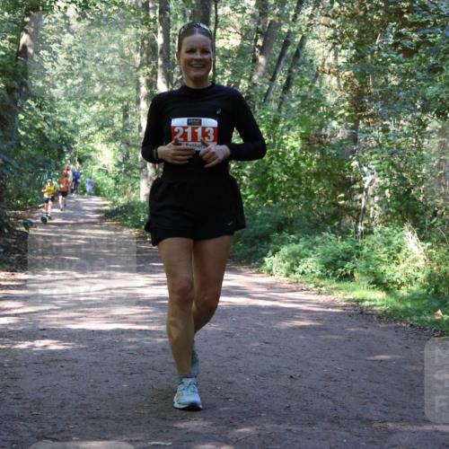 28.09.2025 - 33. Volkslauf durch das schöne Alstertal Strokosch-Dieckow http://msf.ph/oto/8971937 28.09.2025 12:25:43 Laufen 2113 meine-sportfotos.de