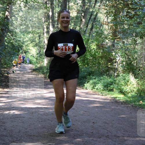 28.09.2025 - 33. Volkslauf durch das schöne Alstertal Strokosch-Dieckow http://msf.ph/oto/8971938 28.09.2025 12:25:43 Laufen 2113 meine-sportfotos.de