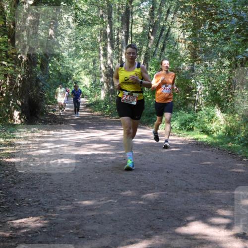 28.09.2025 - 33. Volkslauf durch das schöne Alstertal Strokosch-Dieckow http://msf.ph/oto/8971941 28.09.2025 12:26:00 Laufen 42469, 2222 meine-sportfotos.de