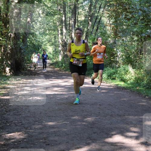 28.09.2025 - 33. Volkslauf durch das schöne Alstertal Strokosch-Dieckow http://msf.ph/oto/8971942 28.09.2025 12:26:00 Laufen 2469, 2222 meine-sportfotos.de