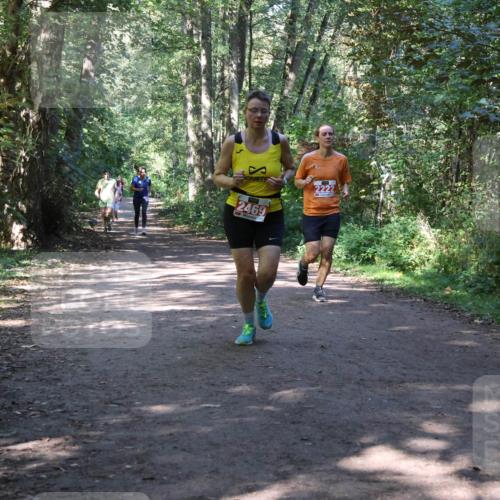 28.09.2025 - 33. Volkslauf durch das schöne Alstertal Strokosch-Dieckow http://msf.ph/oto/8971943 28.09.2025 12:26:00 Laufen 2222, 2469 meine-sportfotos.de