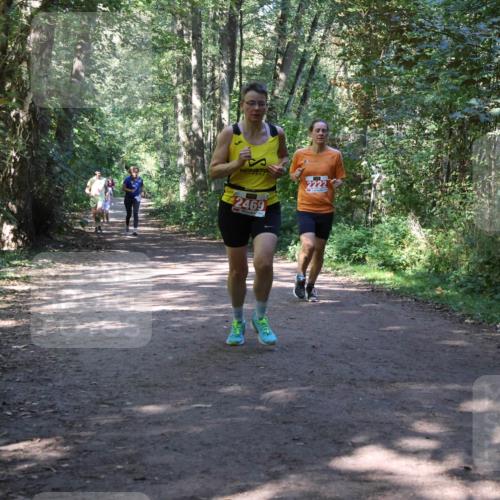 28.09.2025 - 33. Volkslauf durch das schöne Alstertal Strokosch-Dieckow http://msf.ph/oto/8971944 28.09.2025 12:26:00 Laufen 2469, 2222 meine-sportfotos.de