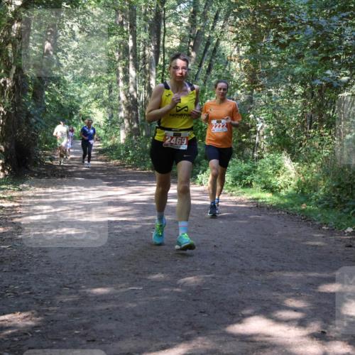 28.09.2025 - 33. Volkslauf durch das schöne Alstertal Strokosch-Dieckow http://msf.ph/oto/8971945 28.09.2025 12:26:00 Laufen 2469, 2222 meine-sportfotos.de