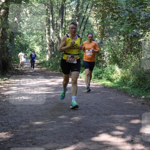 28.09.2025 - 33. Volkslauf durch das schöne Alstertal Strokosch-Dieckow http://msf.ph/oto/8971946 28.09.2025 12:26:00 Laufen 2469, 2222 meine-sportfotos.de