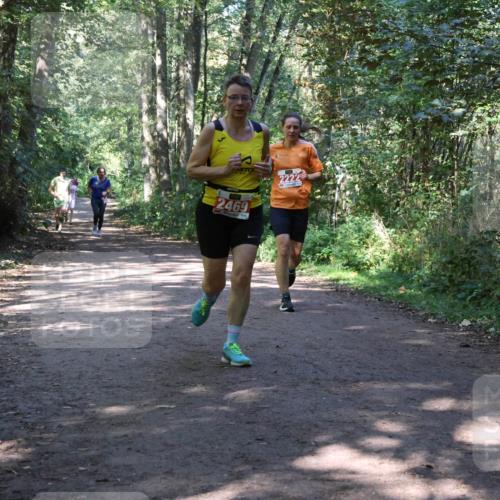 28.09.2025 - 33. Volkslauf durch das schöne Alstertal Strokosch-Dieckow http://msf.ph/oto/8971947 28.09.2025 12:26:00 Laufen 2469, 2222 meine-sportfotos.de