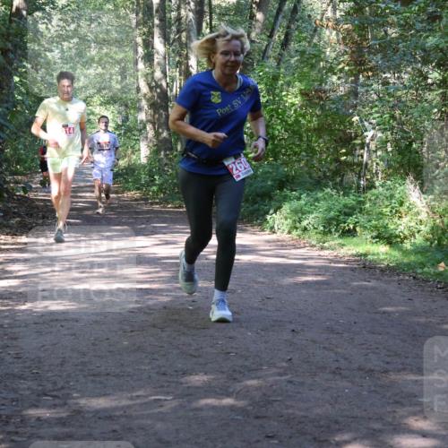 28.09.2025 - 33. Volkslauf durch das schöne Alstertal Strokosch-Dieckow http://msf.ph/oto/8971949 28.09.2025 12:26:08 Laufen 314, 1837, 260 meine-sportfotos.de