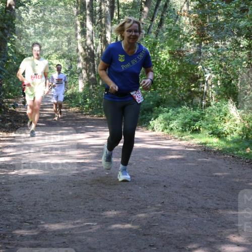 28.09.2025 - 33. Volkslauf durch das schöne Alstertal Strokosch-Dieckow http://msf.ph/oto/8971950 28.09.2025 12:26:08 Laufen 2314, 1837 meine-sportfotos.de