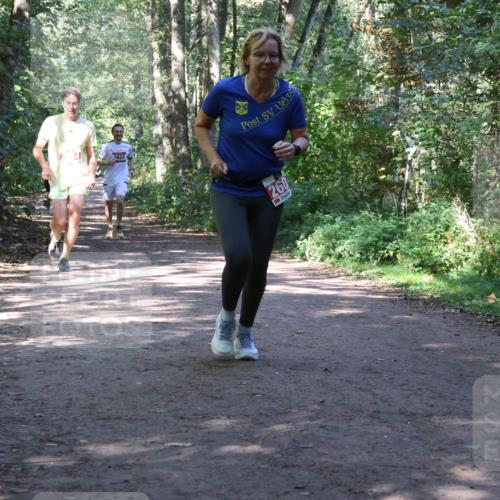 28.09.2025 - 33. Volkslauf durch das schöne Alstertal Strokosch-Dieckow http://msf.ph/oto/8971951 28.09.2025 12:26:08 Laufen 1837, 260 meine-sportfotos.de