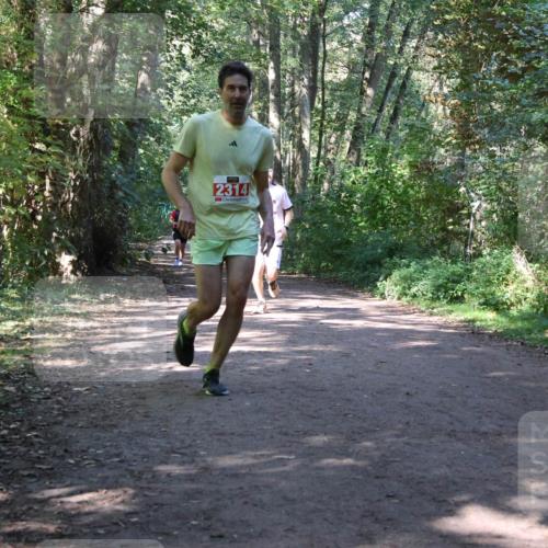 28.09.2025 - 33. Volkslauf durch das schöne Alstertal Strokosch-Dieckow http://msf.ph/oto/8971952 28.09.2025 12:26:11 Laufen 2314 meine-sportfotos.de