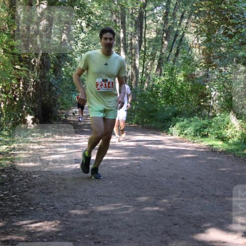 28.09.2025 - 33. Volkslauf durch das schöne Alstertal Strokosch-Dieckow http://msf.ph/oto/8971953 28.09.2025 12:26:11 Laufen 2314 meine-sportfotos.de