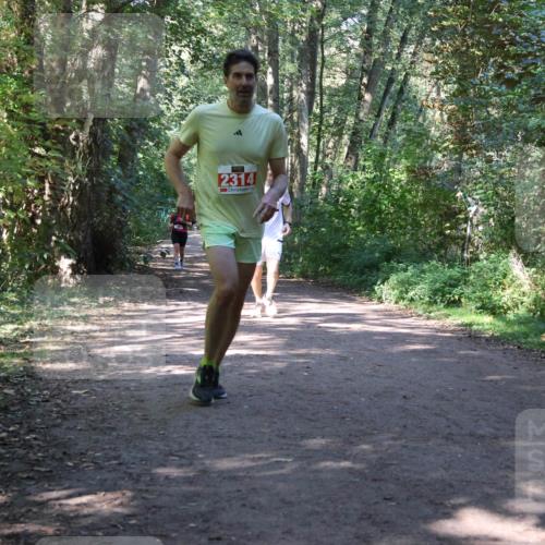 28.09.2025 - 33. Volkslauf durch das schöne Alstertal Strokosch-Dieckow http://msf.ph/oto/8971954 28.09.2025 12:26:12 Laufen 2314 meine-sportfotos.de