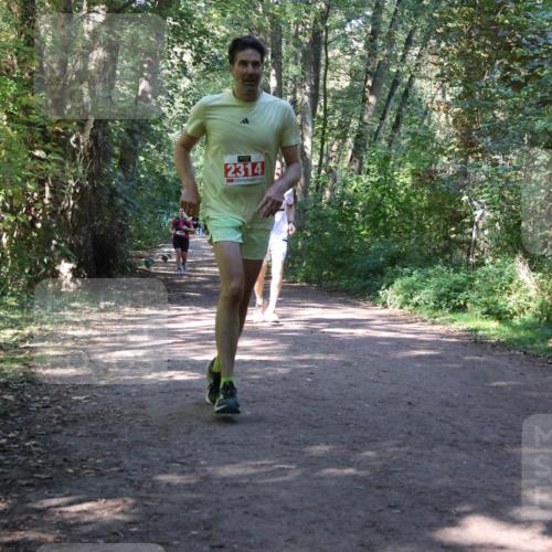 28.09.2025 - 33. Volkslauf durch das schöne Alstertal Strokosch-Dieckow http://msf.ph/oto/8971955 28.09.2025 12:26:12 Laufen 2314 meine-sportfotos.de