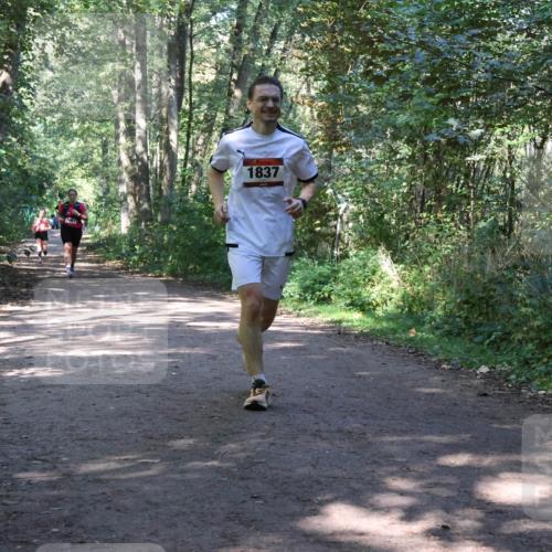 28.09.2025 - 33. Volkslauf durch das schöne Alstertal Strokosch-Dieckow http://msf.ph/oto/8971956 28.09.2025 12:26:14 Laufen 1837 meine-sportfotos.de