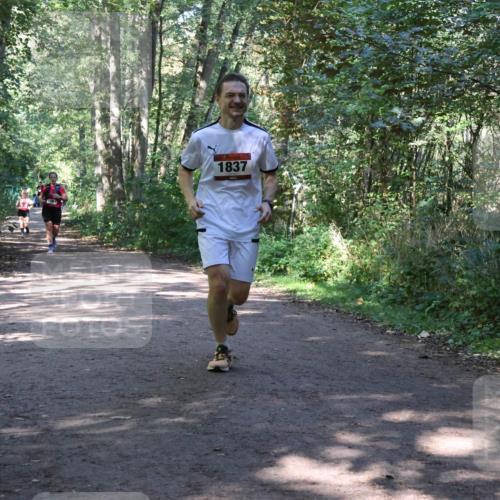 28.09.2025 - 33. Volkslauf durch das schöne Alstertal Strokosch-Dieckow http://msf.ph/oto/8971957 28.09.2025 12:26:14 Laufen 1837 meine-sportfotos.de