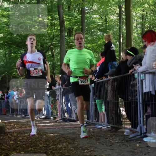 28.09.2025 - 33. Volkslauf durch das schöne Alstertal Strokosch-Dieckow http://msf.ph/oto/8971960 28.09.2025 11:54:37 Ziel 1014, 1634, 1637, 1679, 2635 meine-sportfotos.de