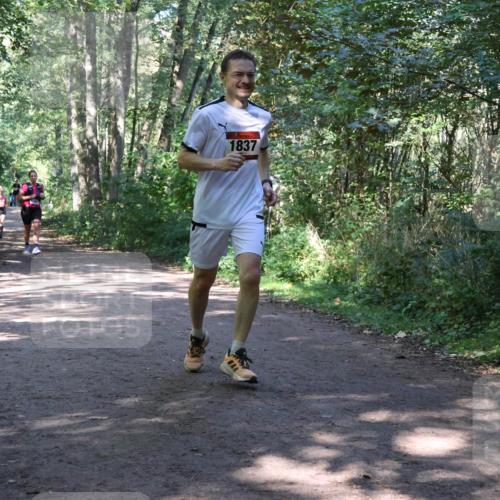 28.09.2025 - 33. Volkslauf durch das schöne Alstertal Strokosch-Dieckow http://msf.ph/oto/8971961 28.09.2025 12:26:15 Laufen 1837 meine-sportfotos.de