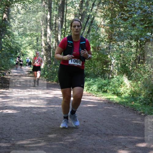 28.09.2025 - 33. Volkslauf durch das schöne Alstertal Strokosch-Dieckow http://msf.ph/oto/8971963 28.09.2025 12:26:21 Laufen 1061 meine-sportfotos.de