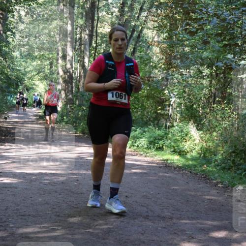 28.09.2025 - 33. Volkslauf durch das schöne Alstertal Strokosch-Dieckow http://msf.ph/oto/8971964 28.09.2025 12:26:21 Laufen 1061 meine-sportfotos.de