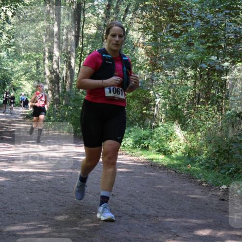 28.09.2025 - 33. Volkslauf durch das schöne Alstertal Strokosch-Dieckow http://msf.ph/oto/8971966 28.09.2025 12:26:21 Laufen 1061 meine-sportfotos.de