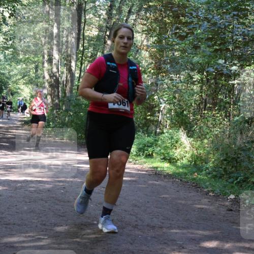 28.09.2025 - 33. Volkslauf durch das schöne Alstertal Strokosch-Dieckow http://msf.ph/oto/8971967 28.09.2025 12:26:21 Laufen 061 meine-sportfotos.de