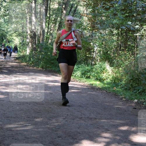 28.09.2025 - 33. Volkslauf durch das schöne Alstertal Strokosch-Dieckow http://msf.ph/oto/8971968 28.09.2025 12:26:25 Laufen 2126 meine-sportfotos.de