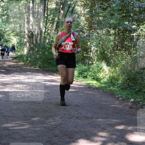 28.09.2025 - 33. Volkslauf durch das schöne Alstertal Strokosch-Dieckow http://msf.ph/oto/8971969 28.09.2025 12:26:25 Laufen 2128 meine-sportfotos.de