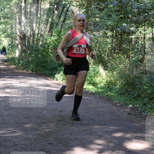 28.09.2025 - 33. Volkslauf durch das schöne Alstertal Strokosch-Dieckow http://msf.ph/oto/8971975 28.09.2025 12:26:25 Laufen 2128 meine-sportfotos.de